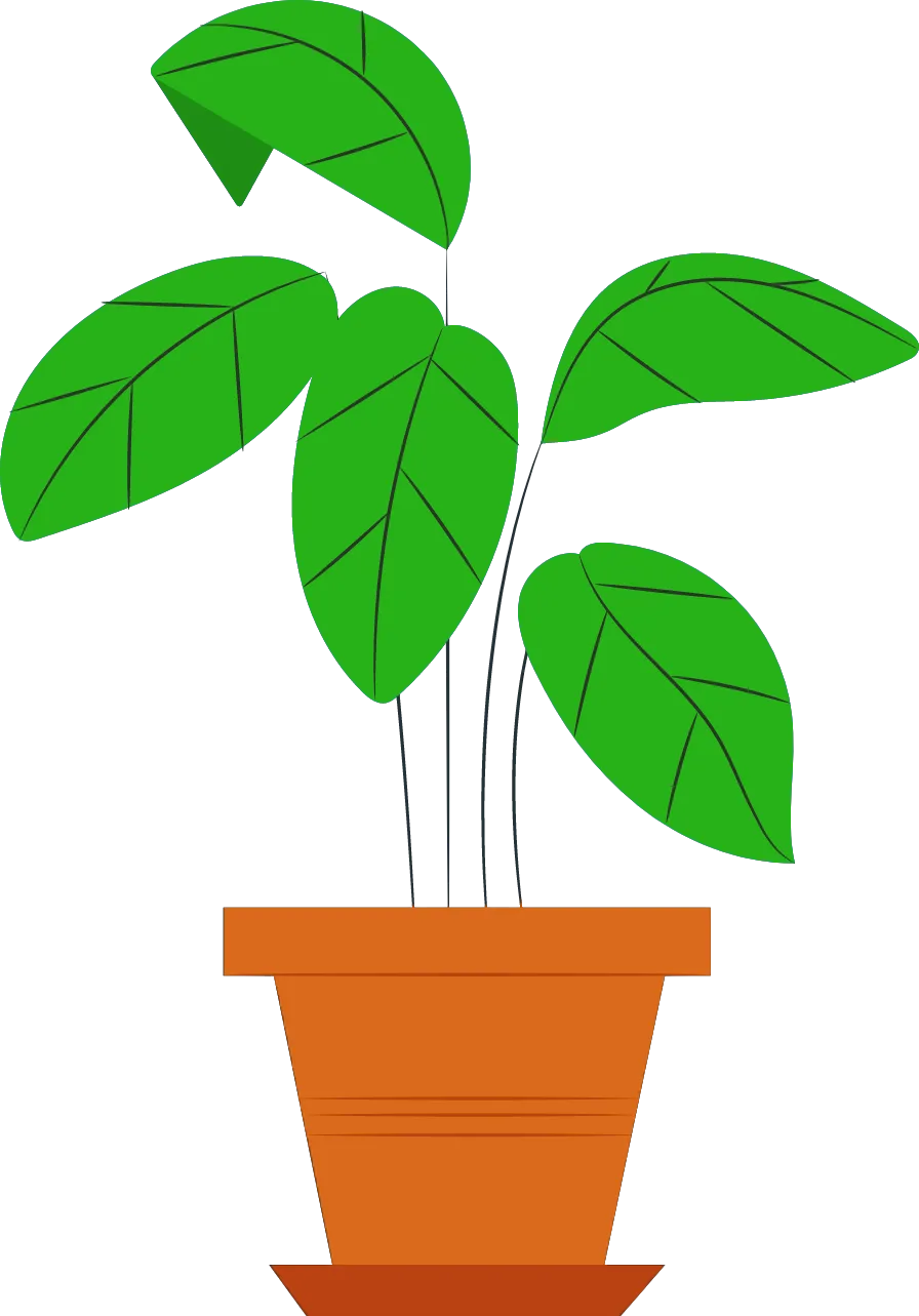 form background vase